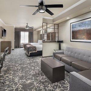 Queen Suite Sofa Bed Walk Shower Disability Access