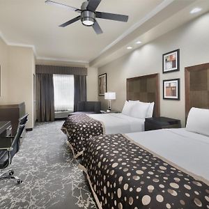 Queen Room Two Queen Beds Roll Shower Disability Access